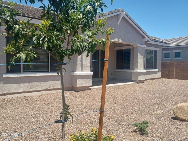 IMG_20250622_125248559_HDR