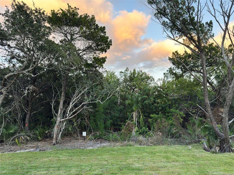 Natural landscape and outdoor views near  in Flagler Beach (Image 64).