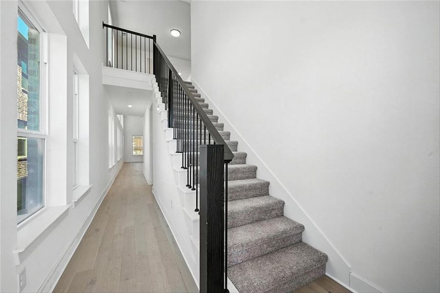 811SunflowerTrailANGECM017 811SunflowerTrailANGECM017