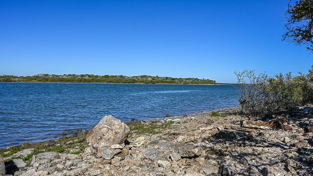 Natural landscape and outdoor views near Colbert Landings in Palm Coast (Image 83).