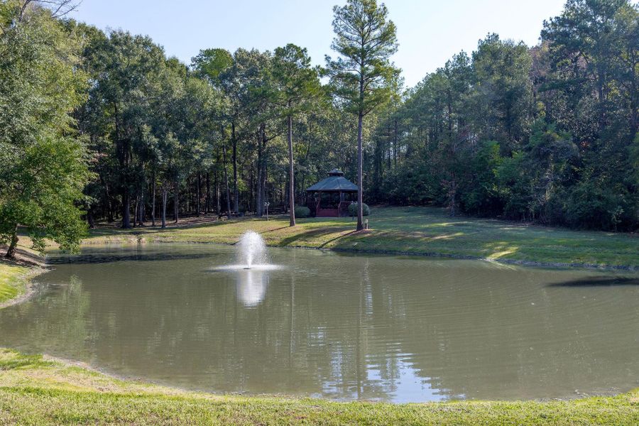 Community pond. Community pond.