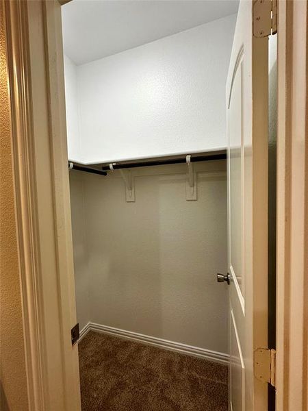 Walk in closet with dark colored carpet