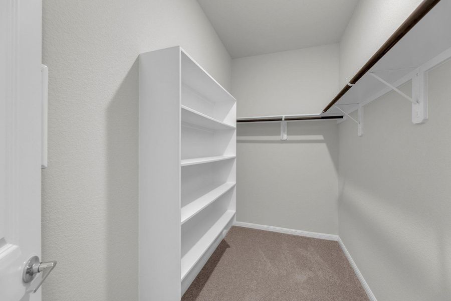 Spacious closet with light colored carpet