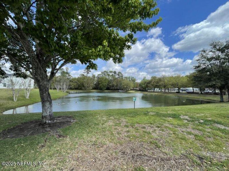Natural landscape and outdoor views near  in Jacksonville (Image 14).