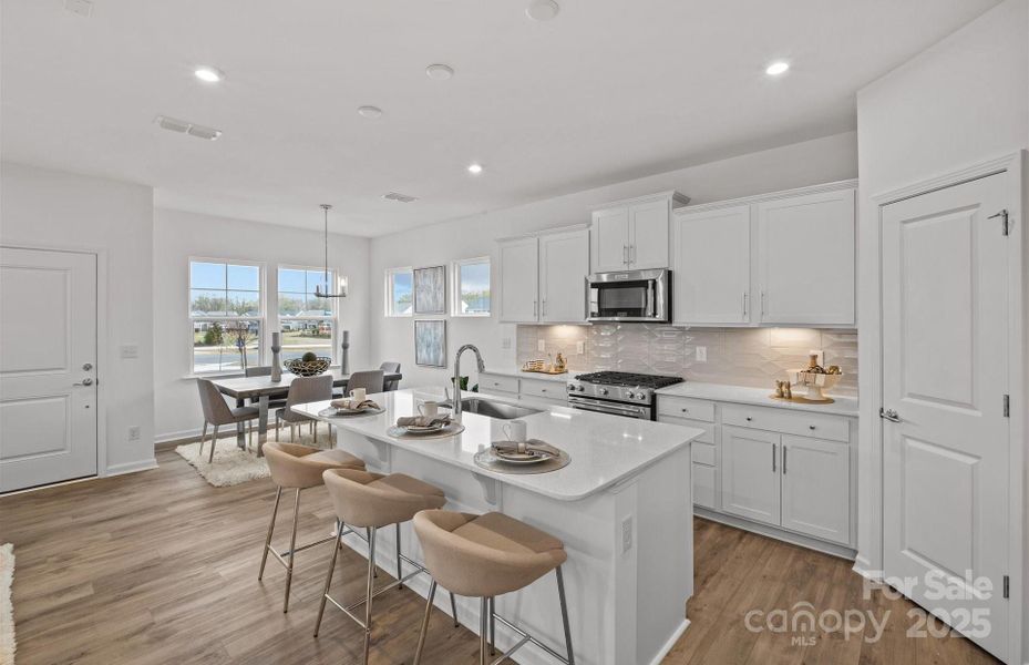 REPRESENTATIVE PHOTO