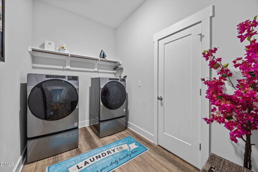 6-web-or-mls-IMG_1434