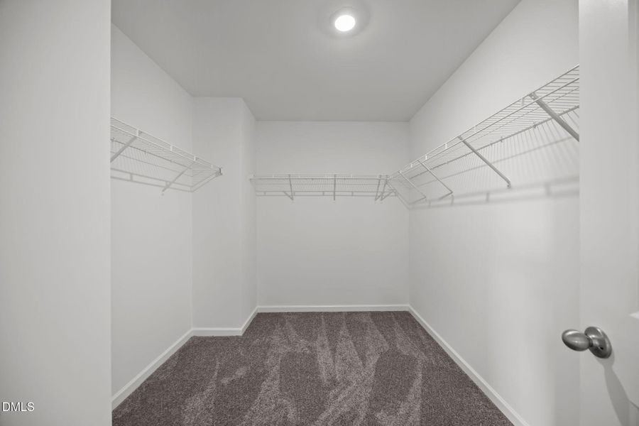 23-web-or-mls-IMG_5213