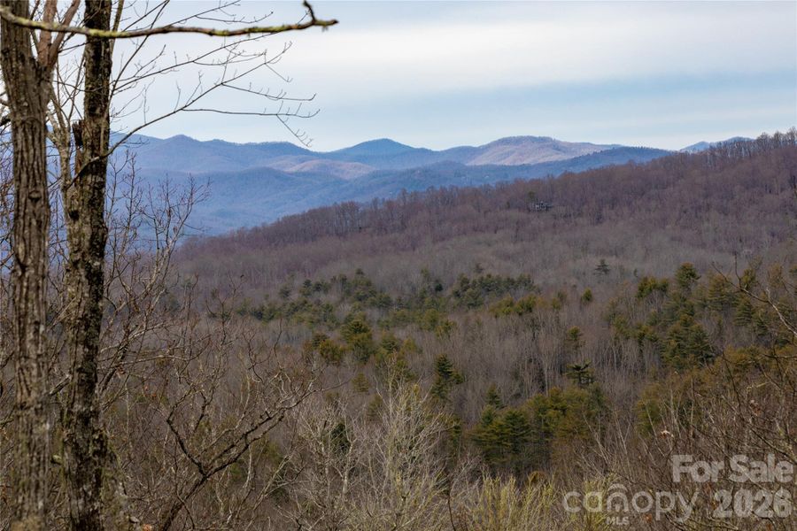 Natural landscape and outdoor views near  in Pisgah Forest (Image 41).