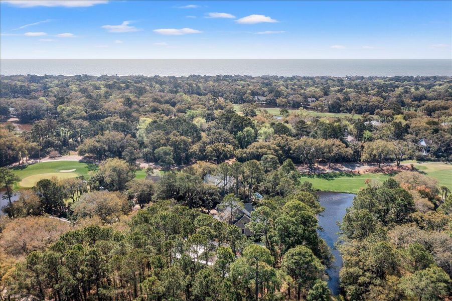 Natural landscape and outdoor views near  in Kiawah Island (Image 59).