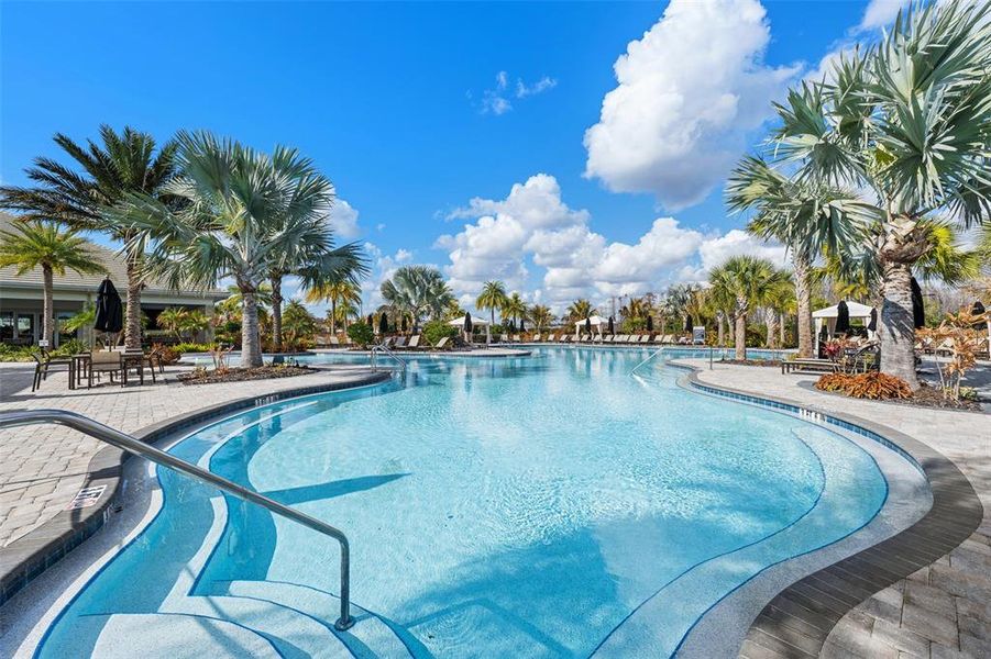 Community amenities in , Wesley Chapel (Image 57). Community amenities in , Wesley Chapel (Image 57).