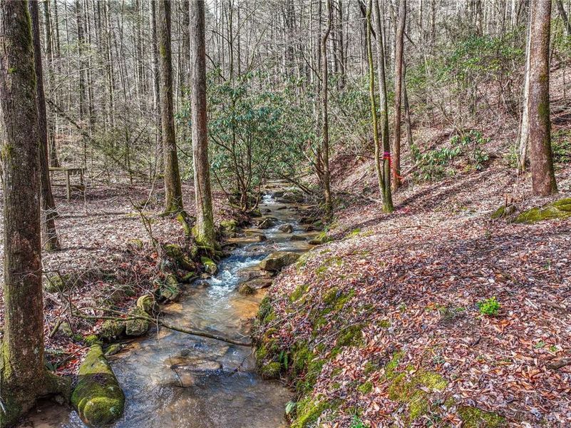 Natural landscape and outdoor views near in Ellijay (Image 46). Natural landscape and outdoor views near in Ellijay (Image 46).