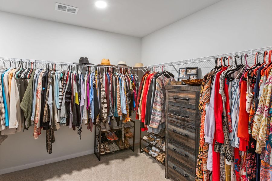 Close-up of interior finishes inside a home in Windsor Crossing, North Charleston (Image 22).