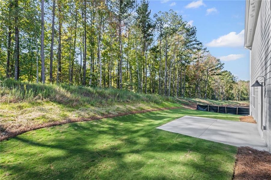 Exterior details and patio area of a home in Sage Woods, Dallas (Image 4).