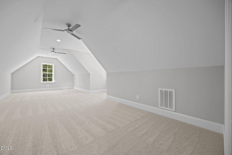 43-web-or-mls-IMG_5671