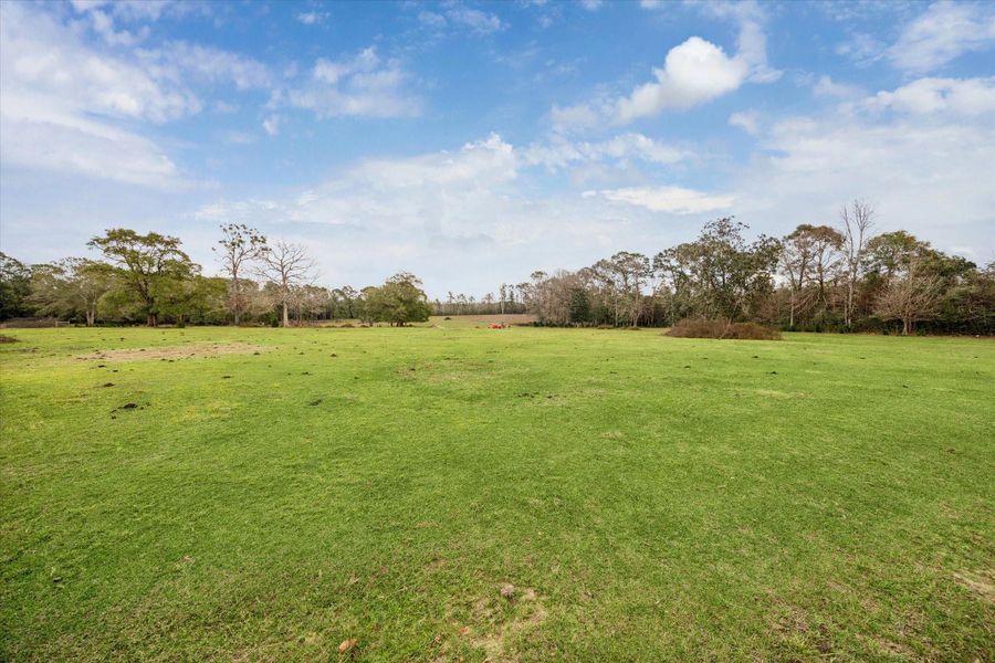 Natural landscape and outdoor views near  in Cleveland (Image 35).