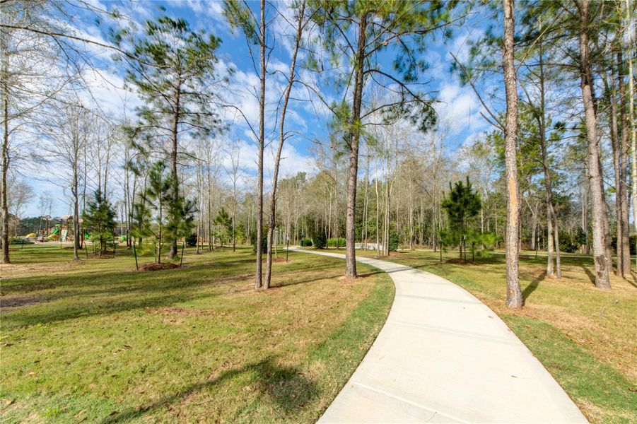 Natural landscape and outdoor views near in New Caney (Image 28). Natural landscape and outdoor views near in New Caney (Image 28).