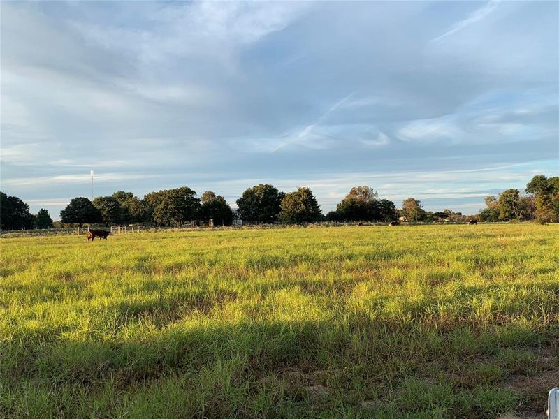 Natural landscape and outdoor views near in Canton (Image 24). Natural landscape and outdoor views near in Canton (Image 24).