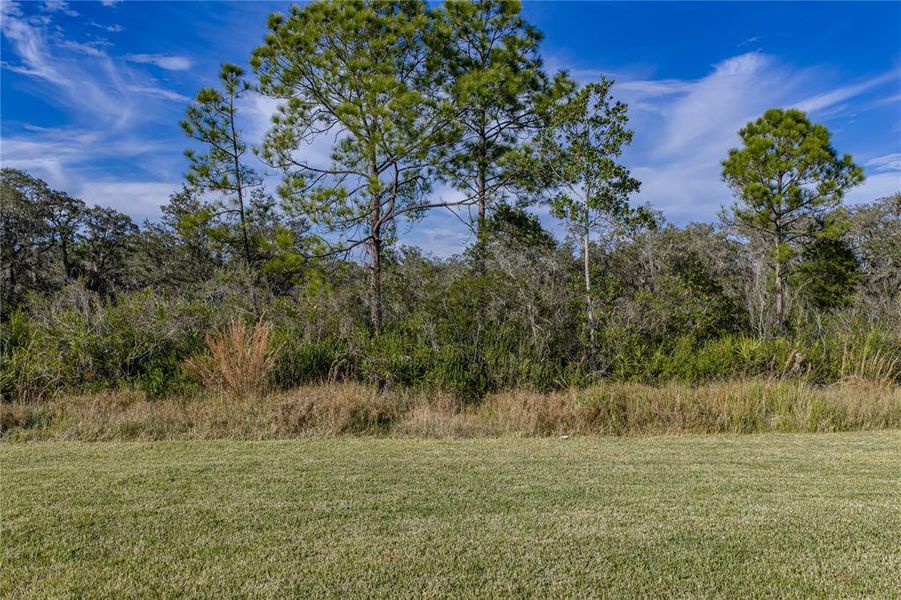Natural landscape and outdoor views near  in Sebring (Image 45).
