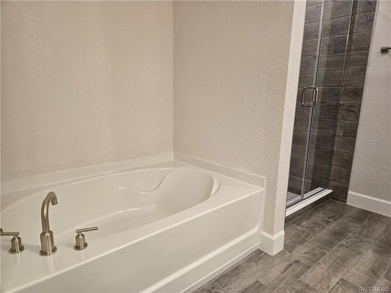 Furnished interior view inside a new home in Wyld Palms, Inverness (Image 8).