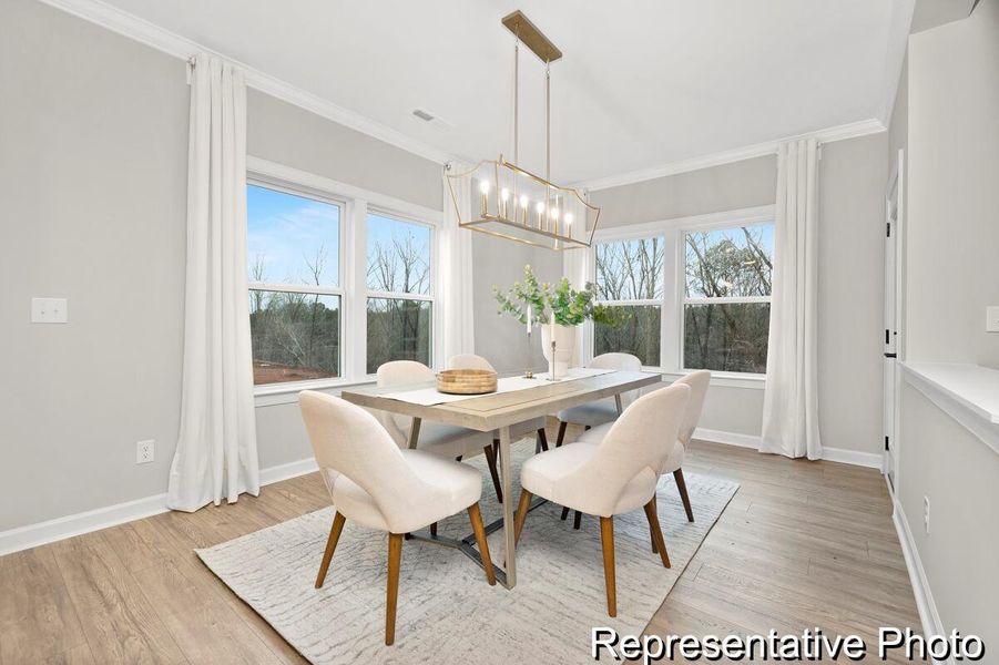 Furnished interior view inside a new home in , Ravenel (Image 6).