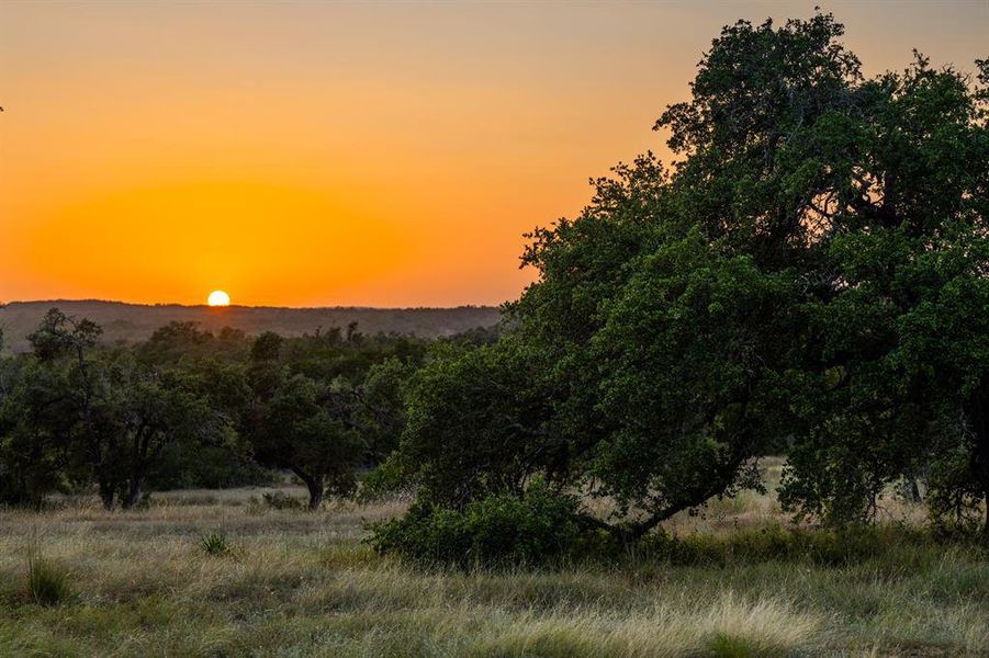 *Note all photos for Driftwood Vista are specific to thedevelopment but not lot-specific. Contact the sales team foradditional, lot-specific details.