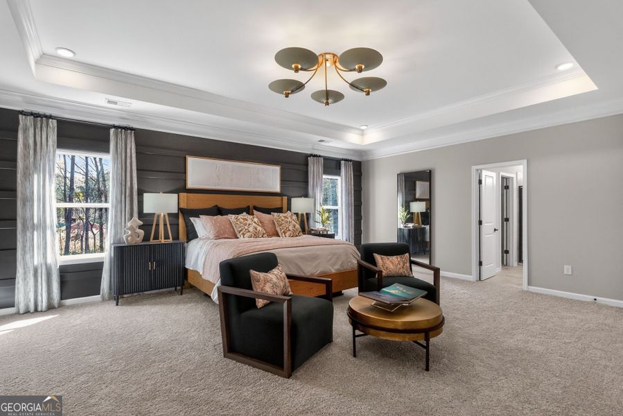 Furnished interior view inside a new home in Bryson Farms, Byron (Image 19).