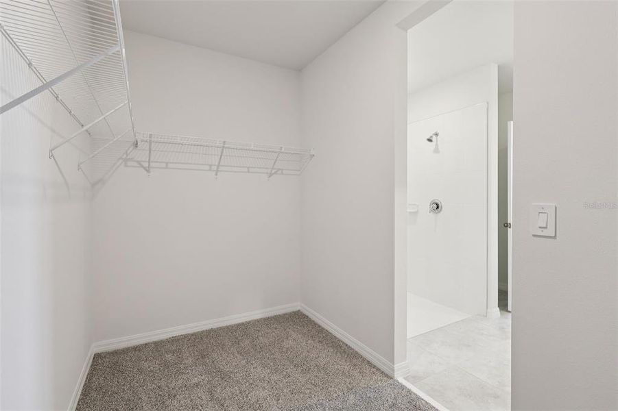 Spacious, unfurnished interior of a new home in Crosswinds - Signature Series, Haines City (Image 34).