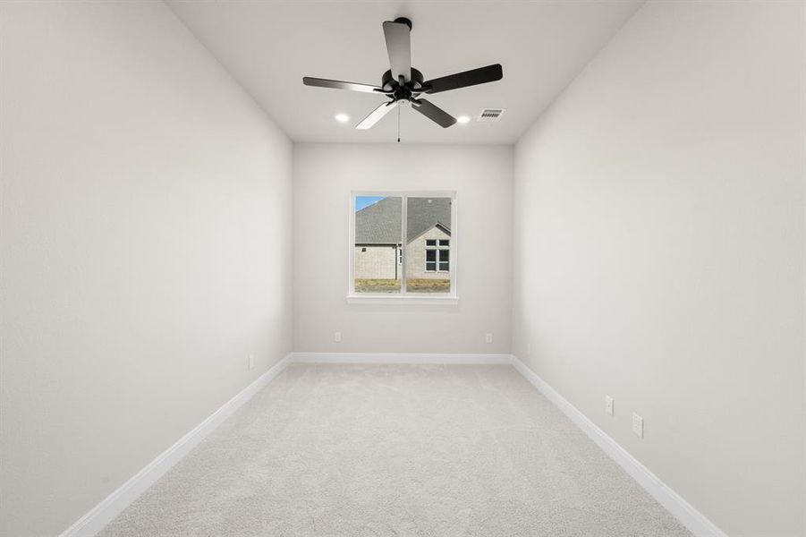 613 Bunchberry- Study-1