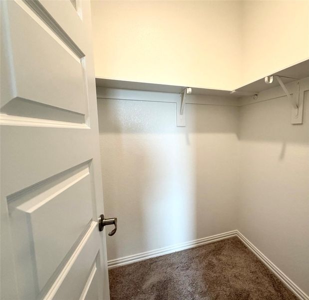 Walk in closet with carpet floors Walk in closet with carpet floors
