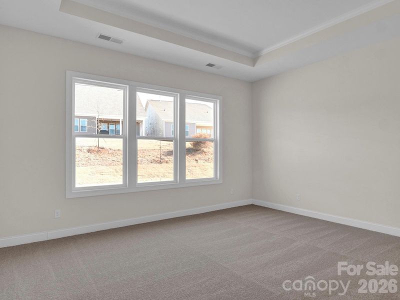 Primary Bedroom, Tray Ceiling and Carpet