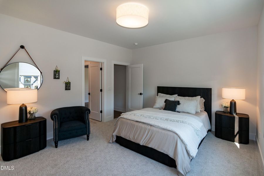 RJP_X_6979 RJP_X_6979