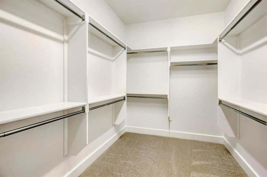 Walk-in closet featuring white built-in shelving, multiple hanging rods, and carpet flooring