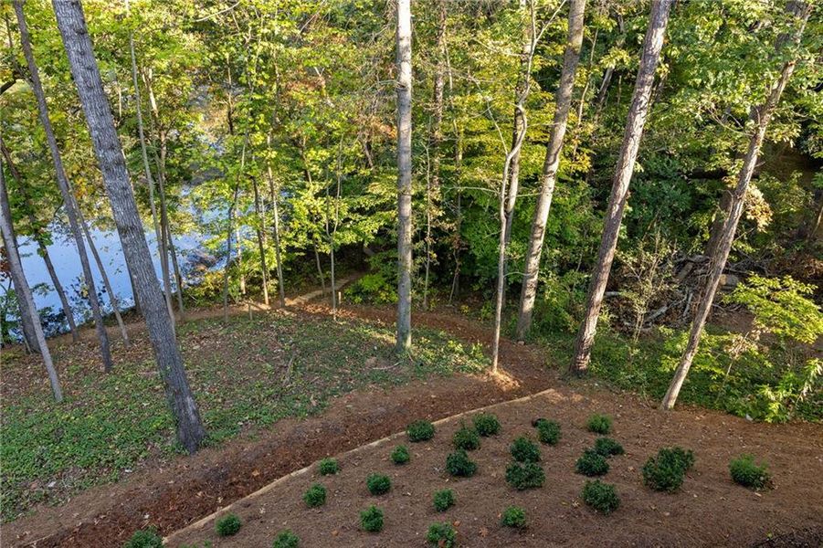 Natural landscape and outdoor views near  in Atlanta (Image 73).