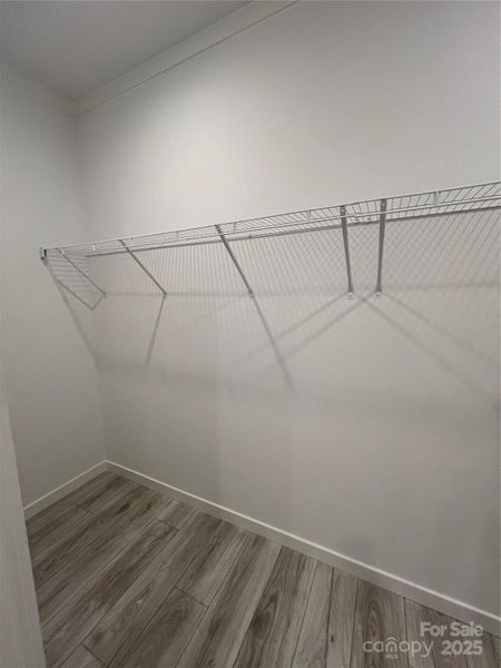 Primary Walk-in Closet