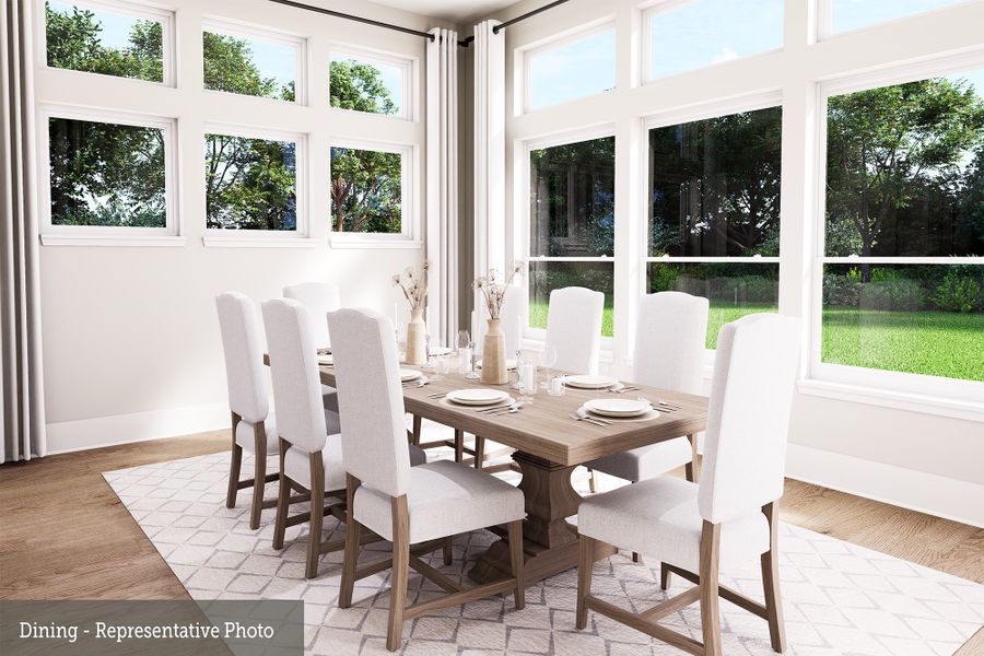 The Boston - Dining The Boston - Dining