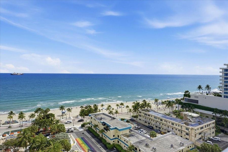 Natural landscape and outdoor views near Selene Oceanfront Residences in Fort Lauderdale (Image 31).