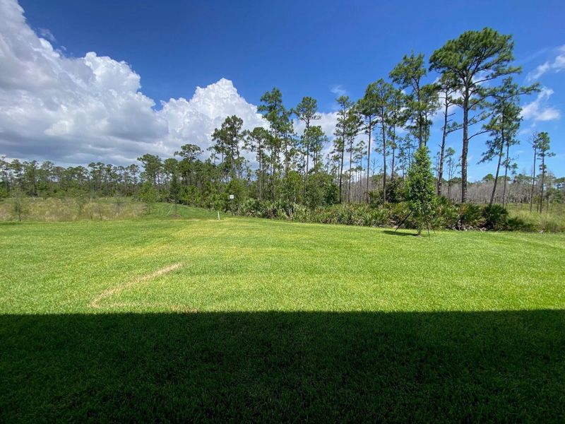 Image 22 of a home in Preserves at Park Trace. Image 22 of a home in Preserves at Park Trace.