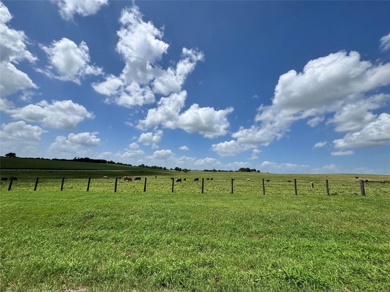 Natural landscape and outdoor views near  in Washington (Image 39).