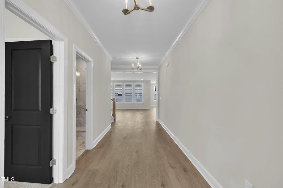 07-3200 Balcon Ct-13 07-3200 Balcon Ct-13