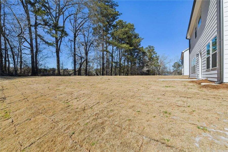 Exterior details and patio area of a home in The Estates at Casteel, Bethlehem (Image 28).