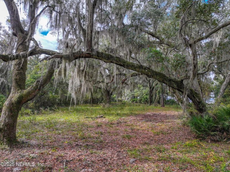Natural landscape and outdoor views near in St. Augustine (Image 13). Natural landscape and outdoor views near in St. Augustine (Image 13).