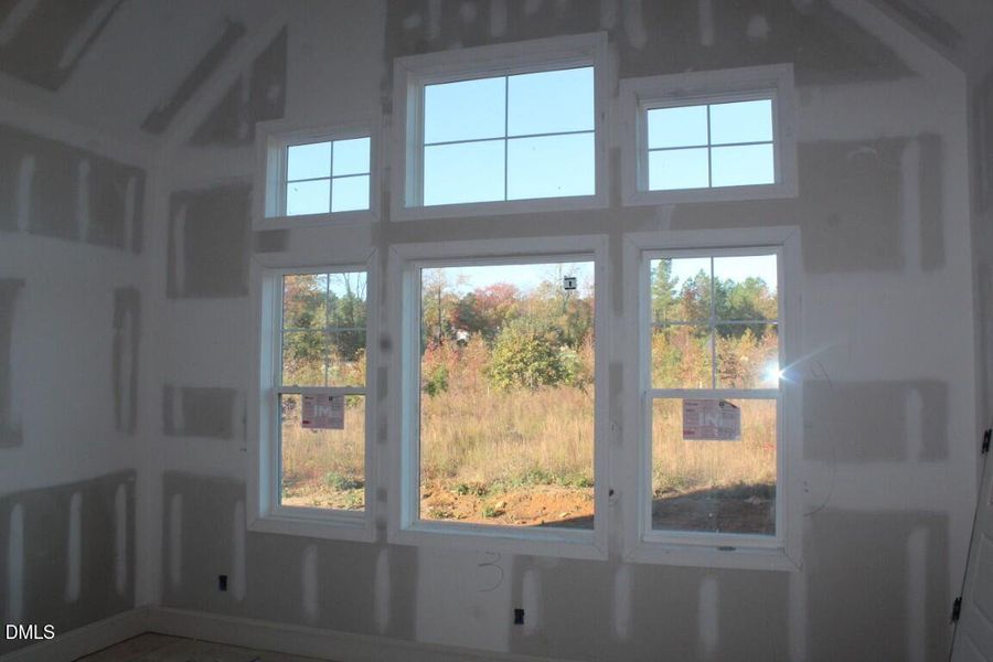 IMG_6960 (Medium) IMG_6960 (Medium)