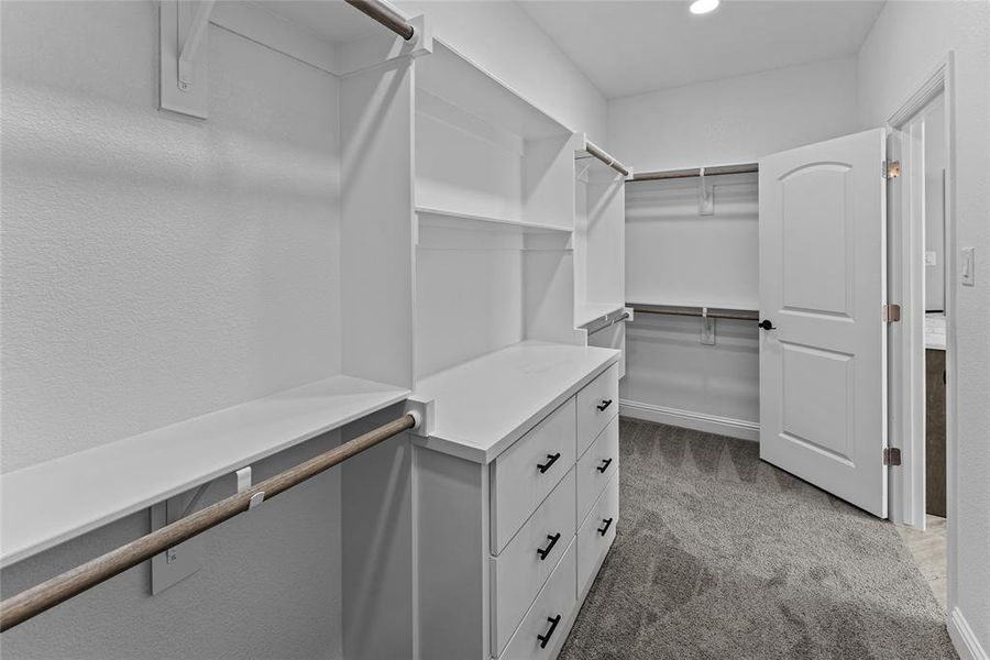 Walk in closet featuring carpet Walk in closet featuring carpet
