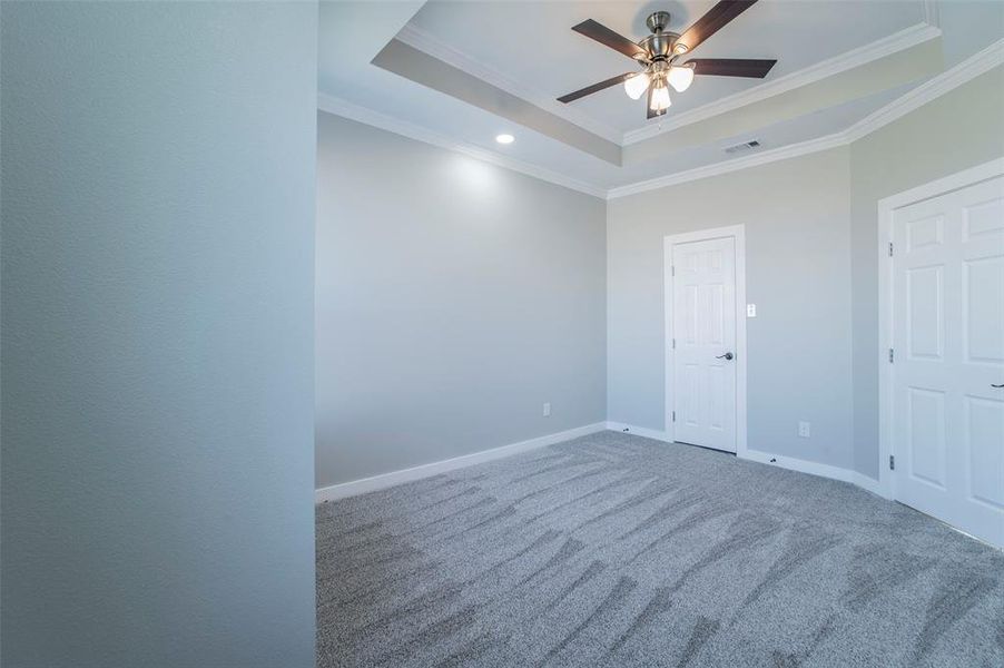 Carpeted spare room with a tray ceiling, a ceiling fan, and crown molding Carpeted spare room with a tray ceiling, a ceiling fan, and crown molding
