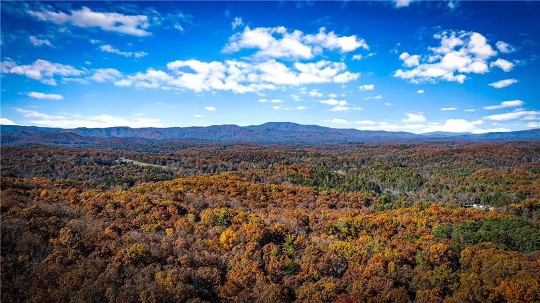 Natural landscape and outdoor views near  in Blue Ridge (Image 30).