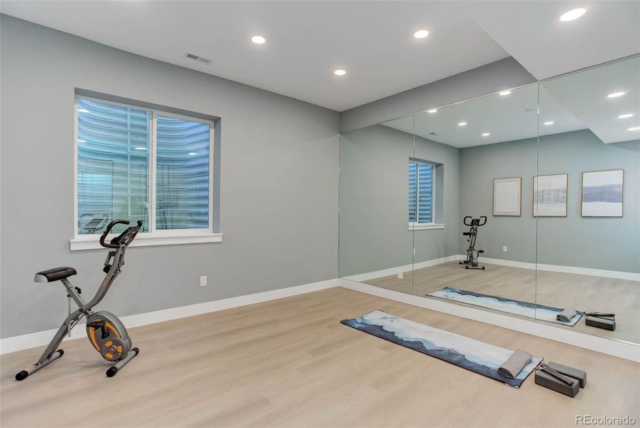 Basement Gym