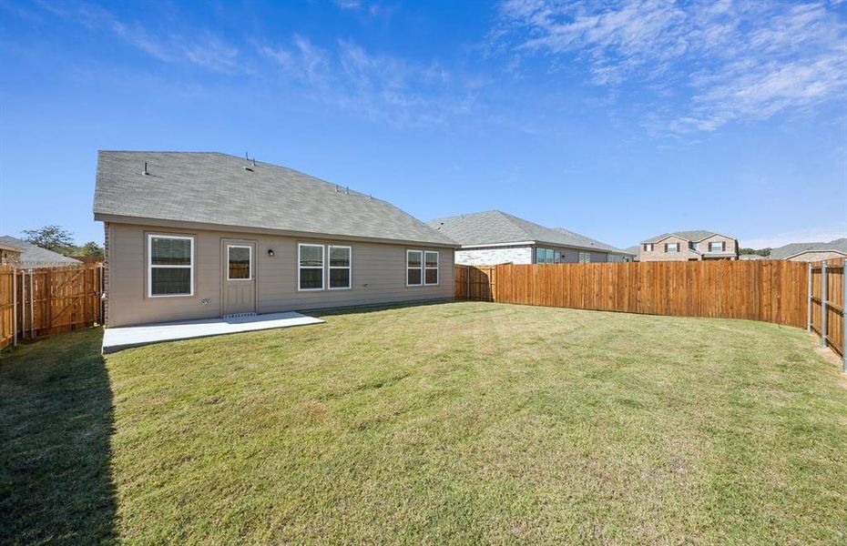Beautiful large backyard