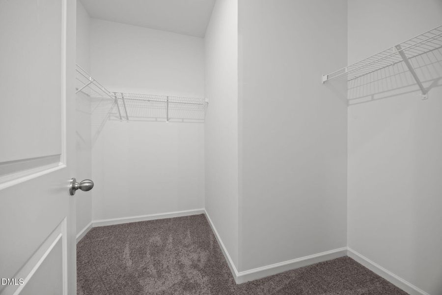 24-web-or-mls-6S8A5234