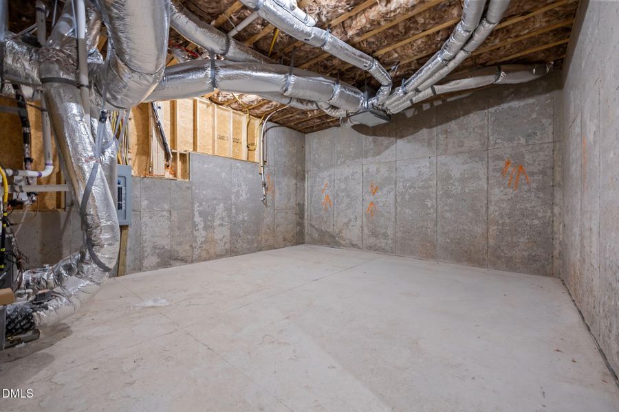 46-web-or-mls-IMG_6074