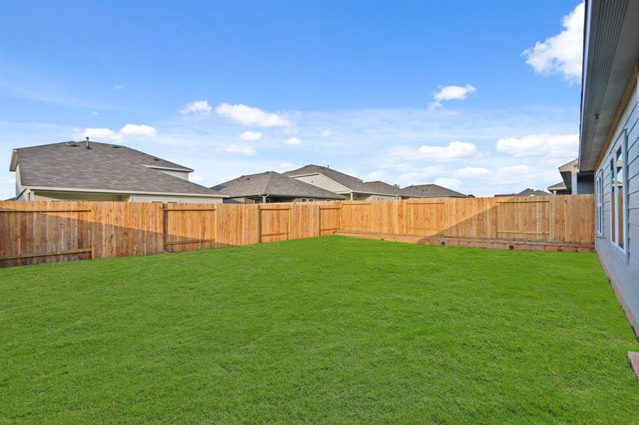 Fantastic back yard!